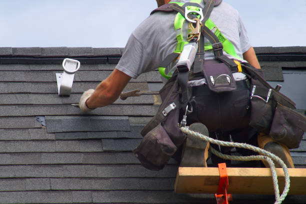 Best Roof Insulation Installation  in Morton, IL