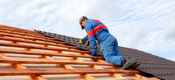 Best Rubber Roofing (EPDM, TPO)  in Morton, IL